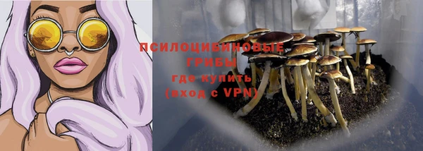 apvp Абаза