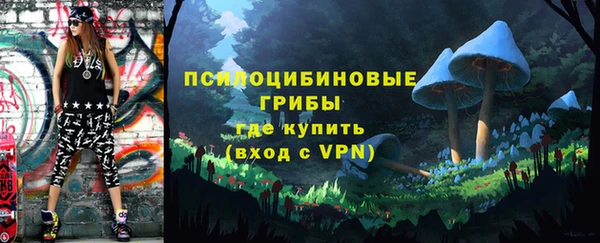 дмт Абинск