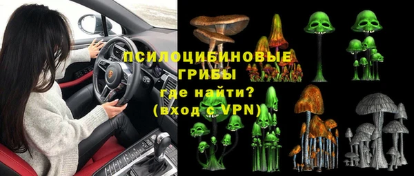 apvp Абаза